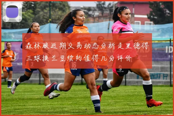 森林狼近期交易动态分析走里德得三球换兰豆续约值得几分评价